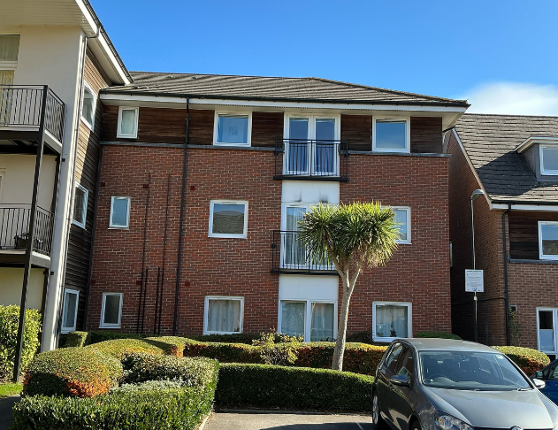 Untitled design (14)